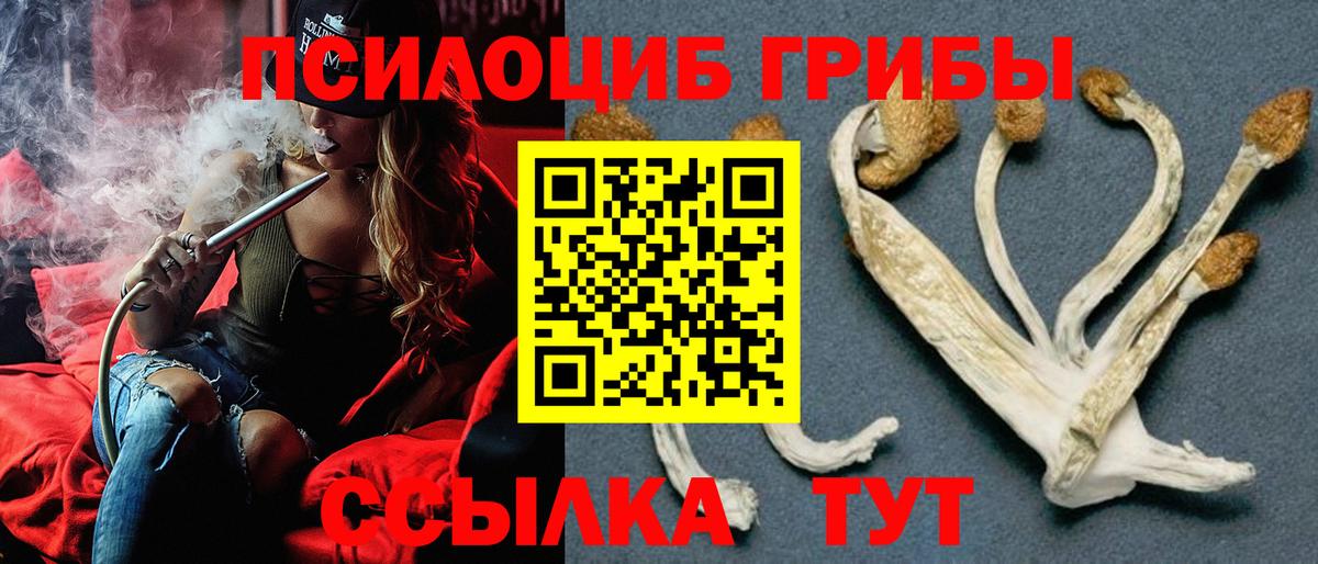 Псилоцибиновые грибы Magic Shrooms  Вход с VPN  Галлюциногенные грибы MAGIC MUSHROOMS  Протвино 